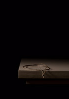 Nina Kopp: Treasure of the bee