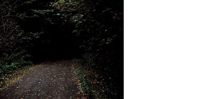 Steffen Sanzenbacher