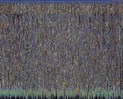 Tom-Oliver Schneider